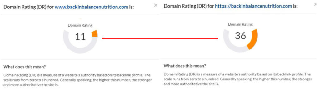 Domain Rating Boost - SEO Clearwater